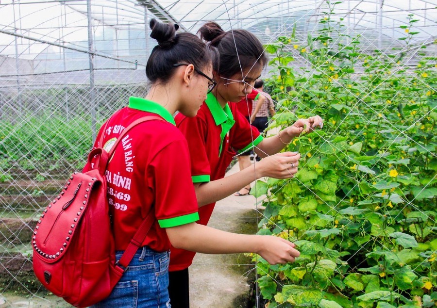 Khởi nghiệp 0 đồng: Hướng đi “ươm mầm” và phát triển tinh thần khởi nghiệp cho sinh viên của Khoa Kinh tế