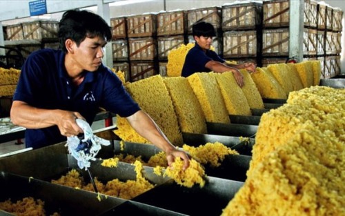 CÔNG TY TNHH TM-SX MINH THẠNH PHÁT TUYỂN DỤNG