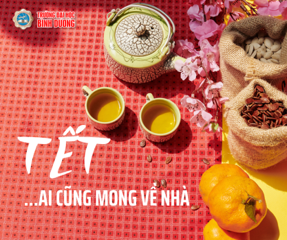 Tết ai cũng mong về nhà