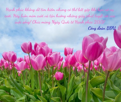 Thiep chuc mung 20 3 (Cong doan)